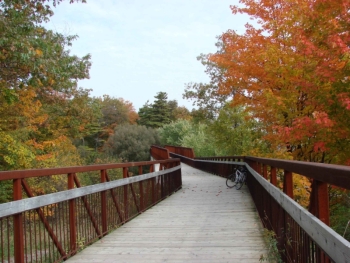 Fall Colors of Ajax